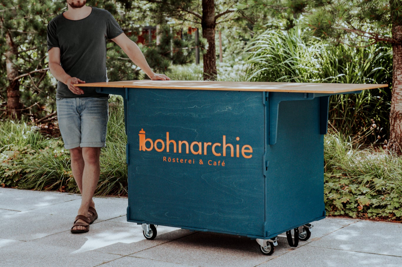 Portable Display Carts